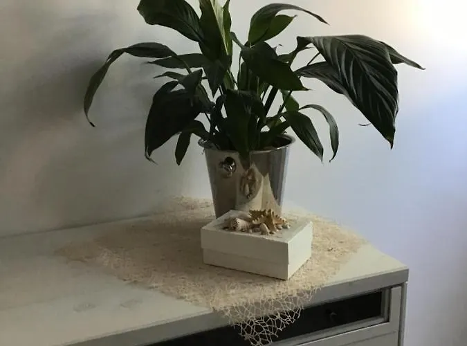 Stella Di Mare Apartment *